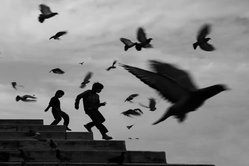 Kandilcioglu, Nisan Ummu: libremente