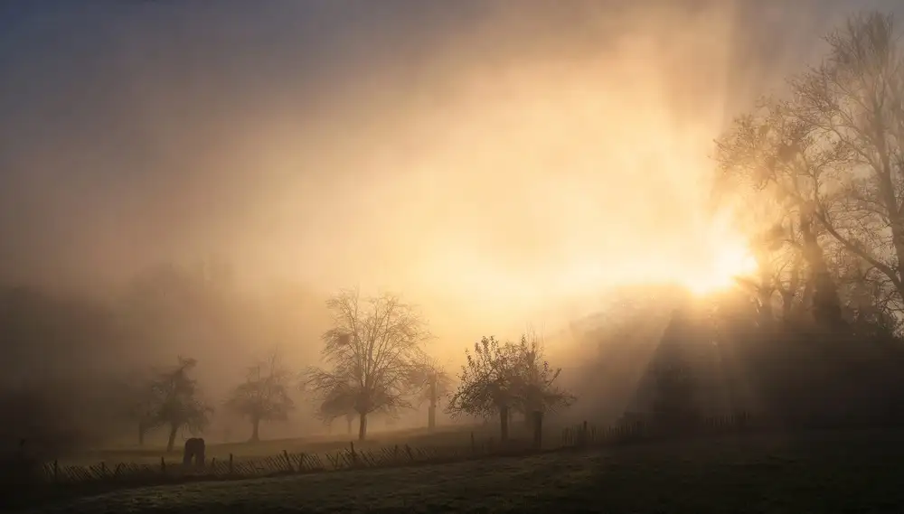 Urlings, Lou: Herrlicher Morgen