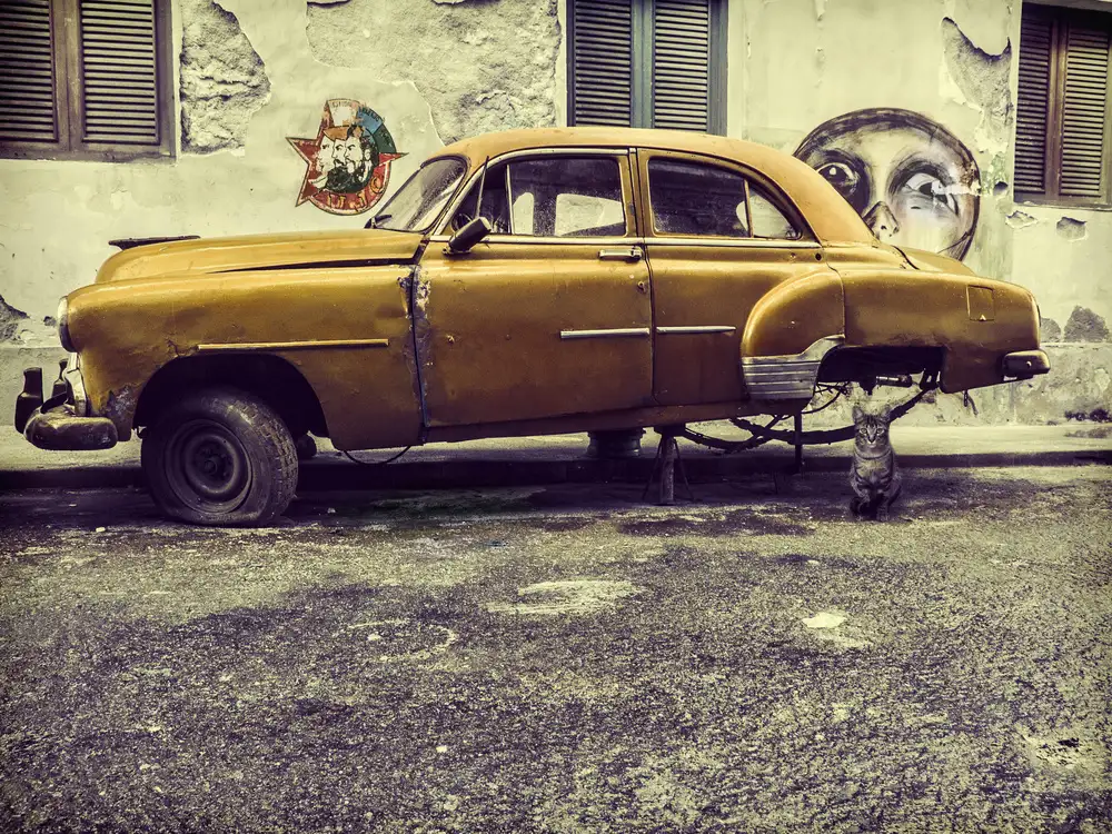 Yosifov, Svetlin: Old car/cat