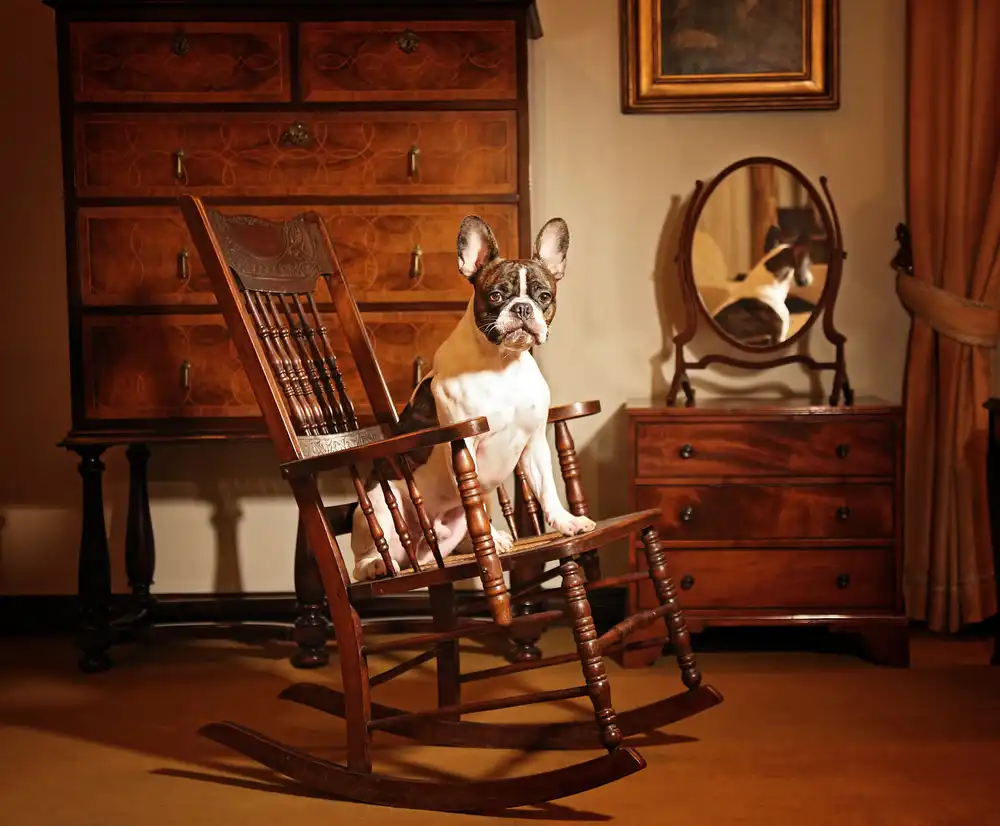 DDiArte: Dali on the swing Chair