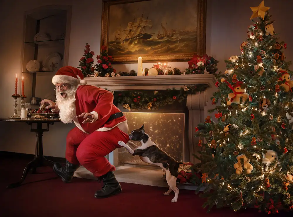DDiArte: Santa was caught!