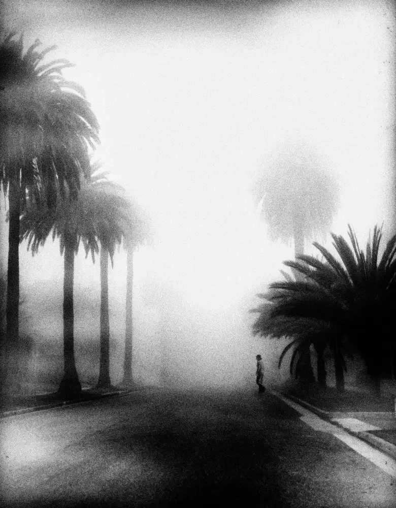 Labagnara, Roxana: Nebel