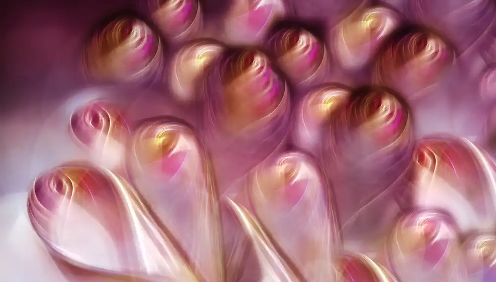 Westum, Heidi: Boutons de rose