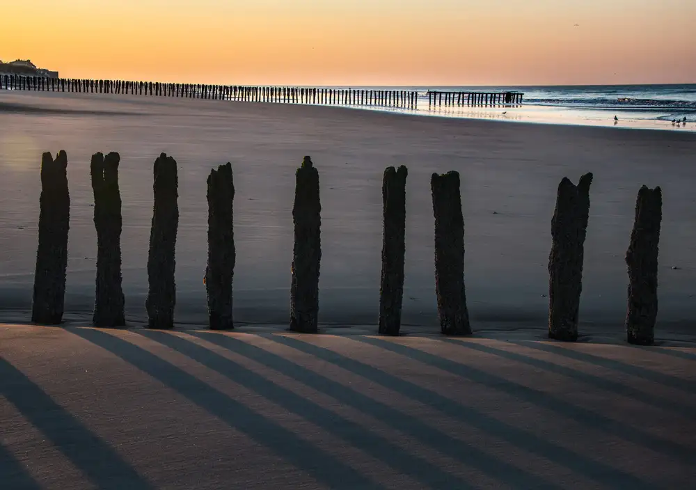 Dixon, Colin: Playa de Calais 2
