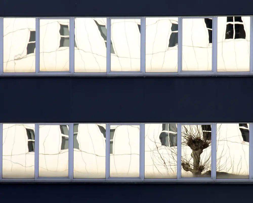Flour, Jef: Willow in a window