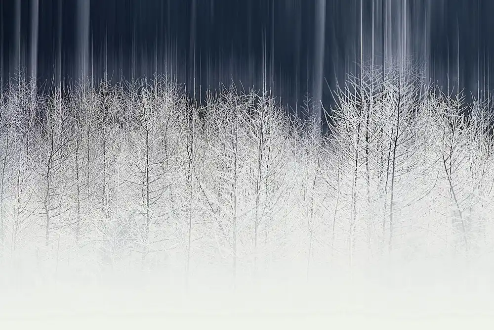 Mijer, Wil: Fée d'hiver