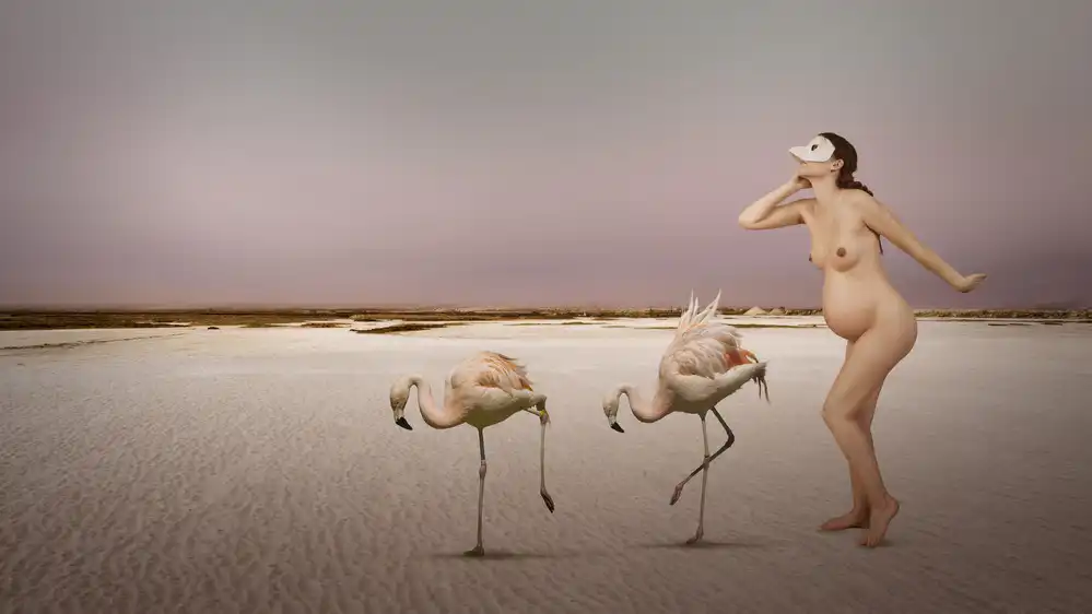 Diepenbroek, von Christine: Salt-Bird