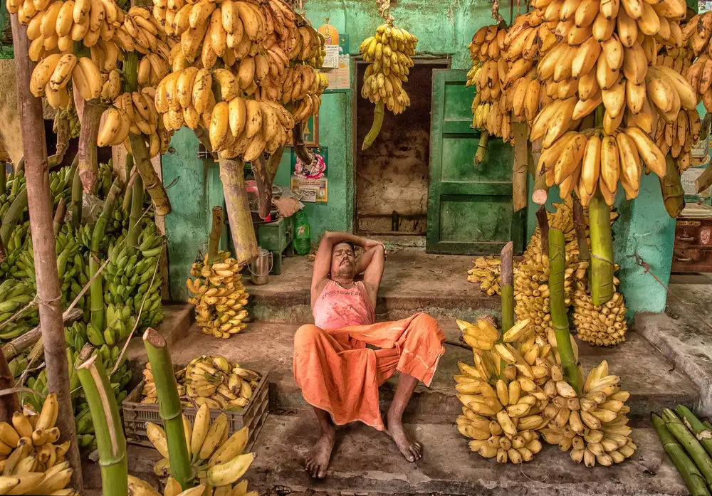 Ohlendorf, Anette: im Bananenparadies // In the banana paradise