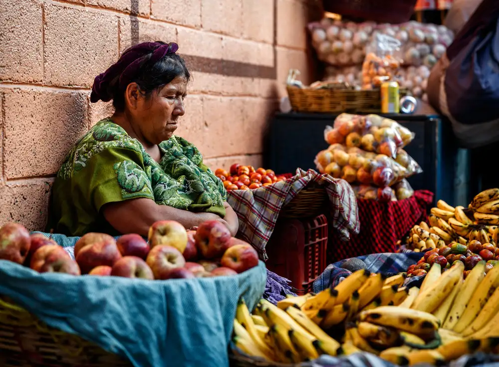 Ruiz, Mendoza Francisco: Sin nombre