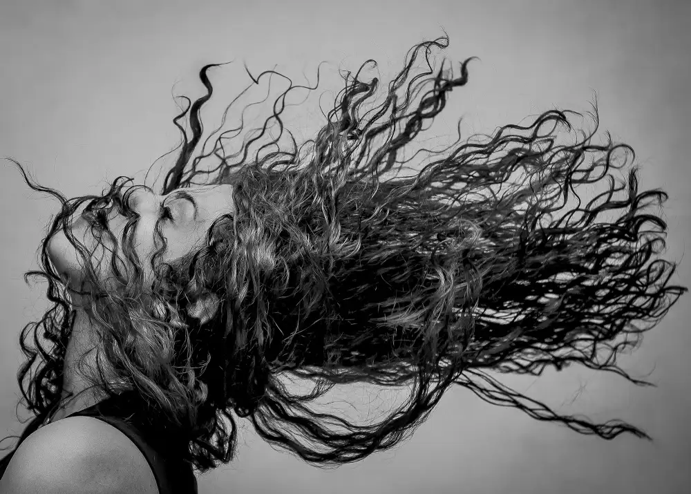 Varasteh, Vahid: Welle