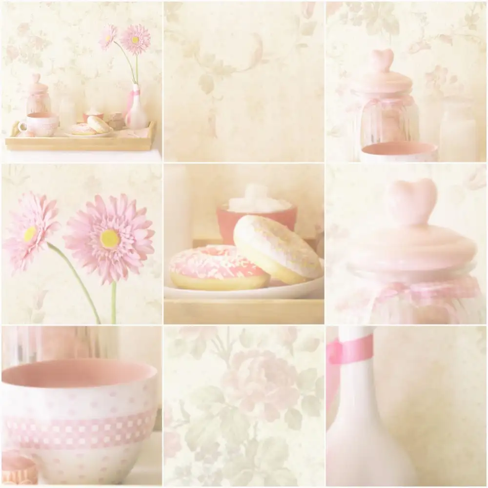 Devos, Delphine: Collection Vintage