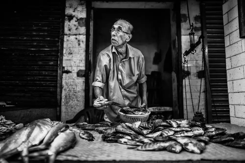 Tagliarino, Marco: The fish market