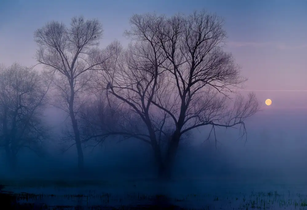 Agazzi, Andreas: Another new day