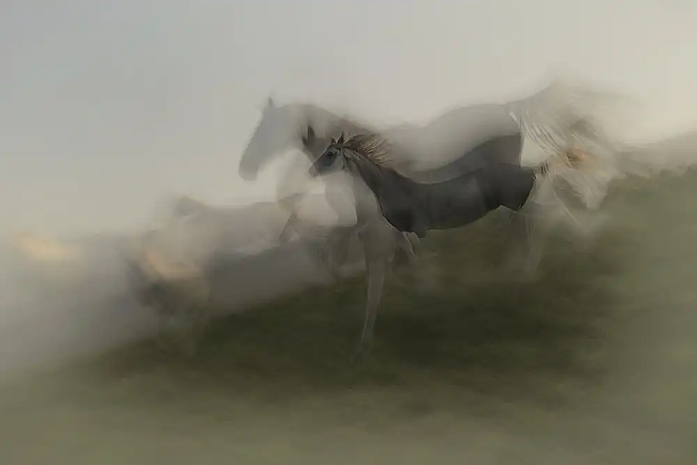 Malovrh, Milan: capo