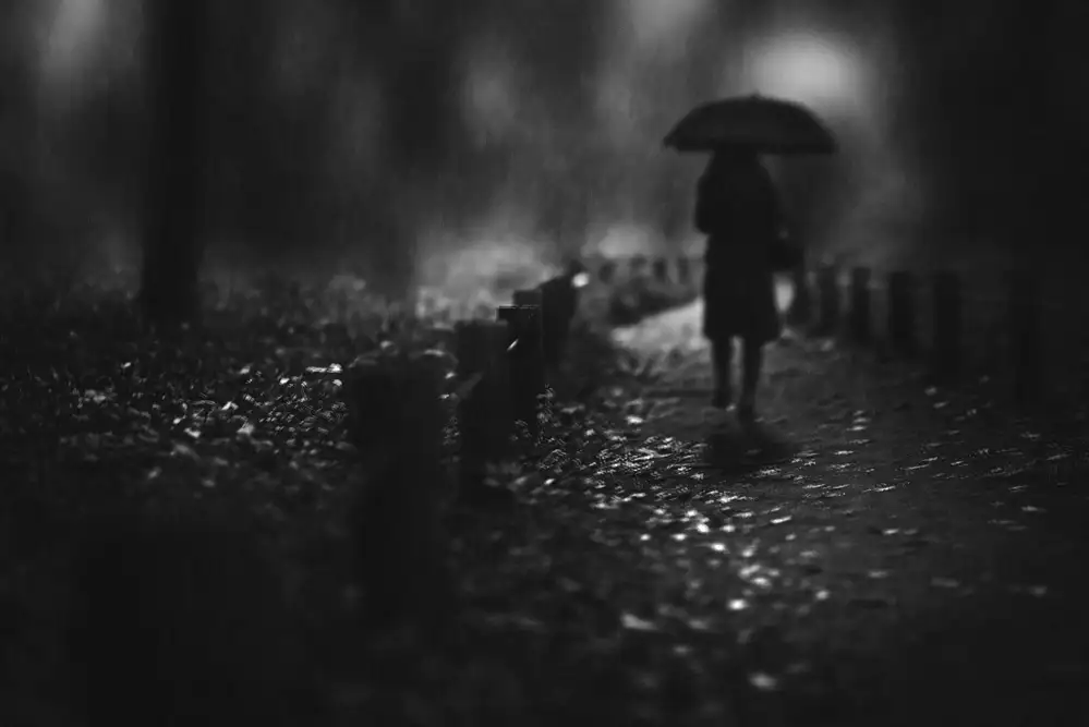 Tsuchida, Teruhiko: lluvia