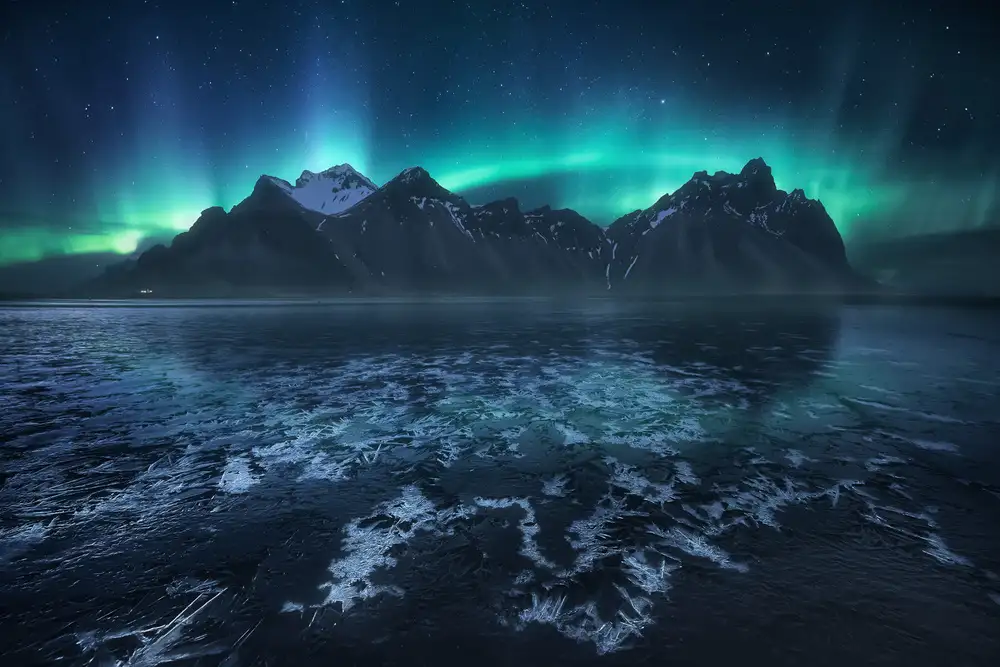 Turienzo, F. Carlos: Frozen World,The Crown