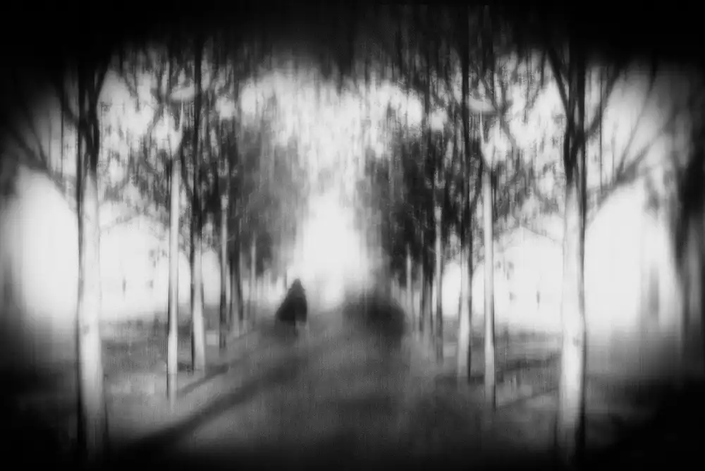 Tsuchida, Teruhiko: camino