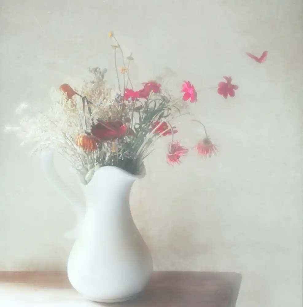 Devos, Delphine: Un mazzo di fiori