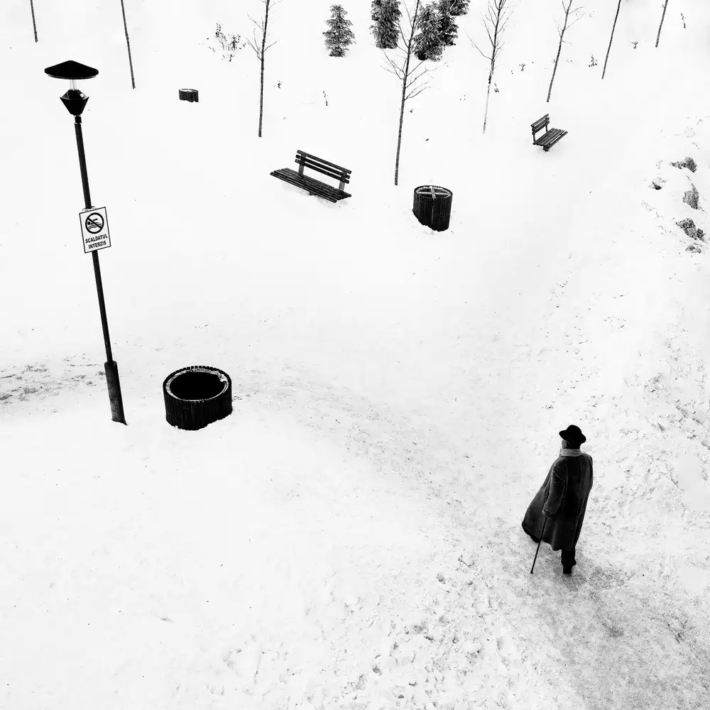 Cinteza, Marius: Marcheur sur neige