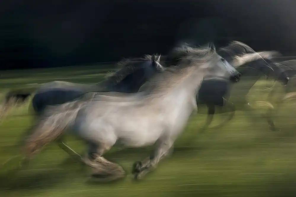 Malovrh, Milan: im Galopp