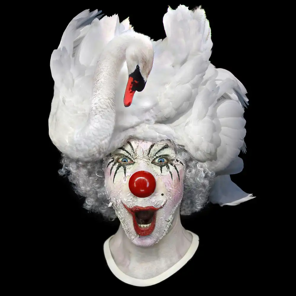 DDiArte: Swan Clwon