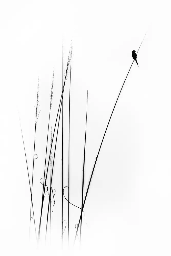Swapnil: a sabbatical