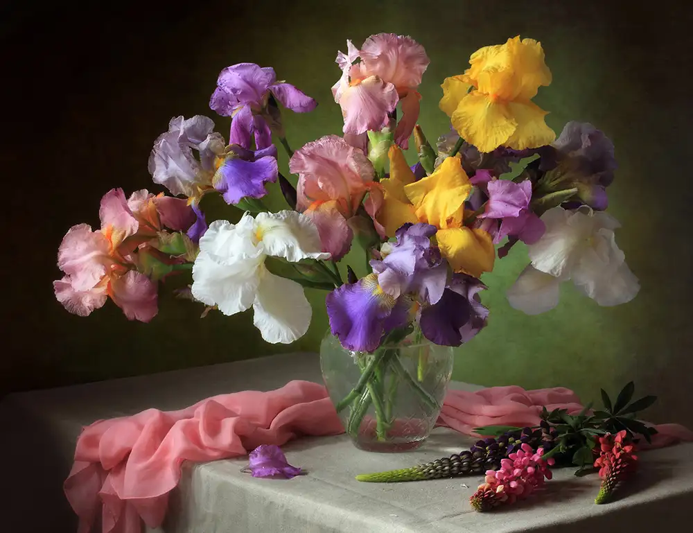 Skorokhod, Tatyana: With a bouquet of irises and flowers lupine