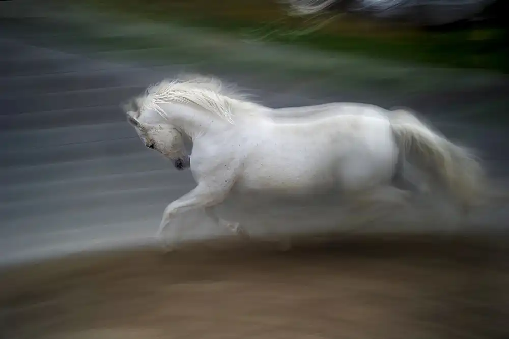 Malovrh, Milan: Eleganz