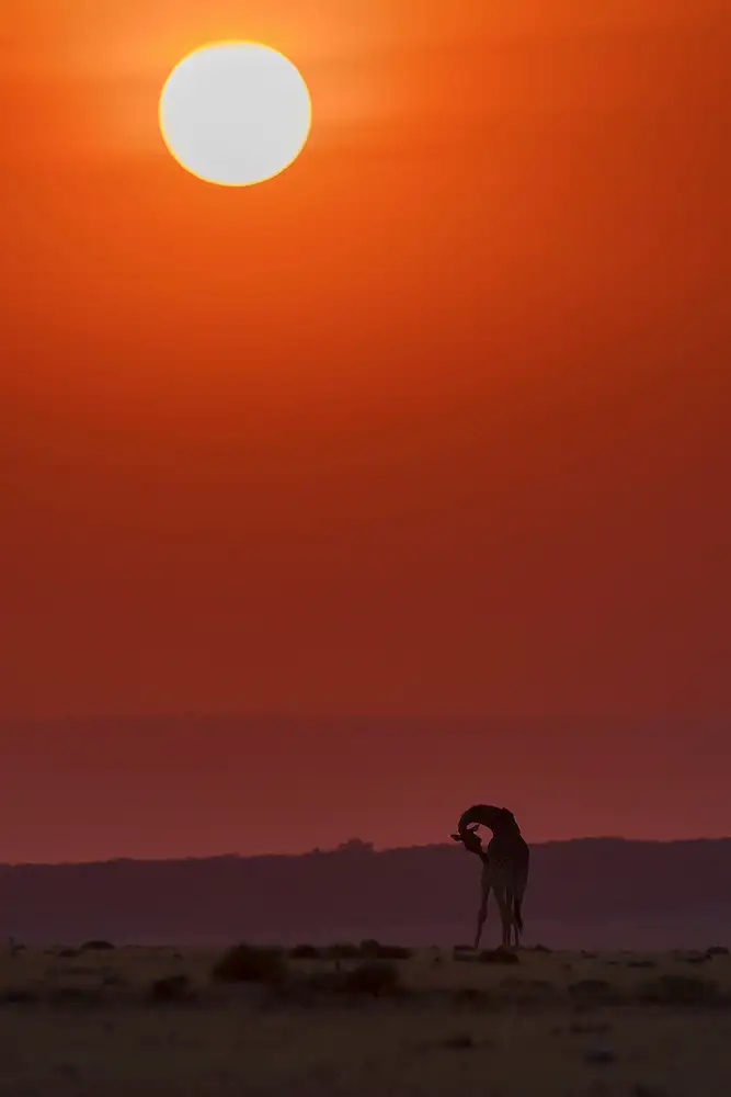 Zhao, Henry: Baignade au coucher du soleil