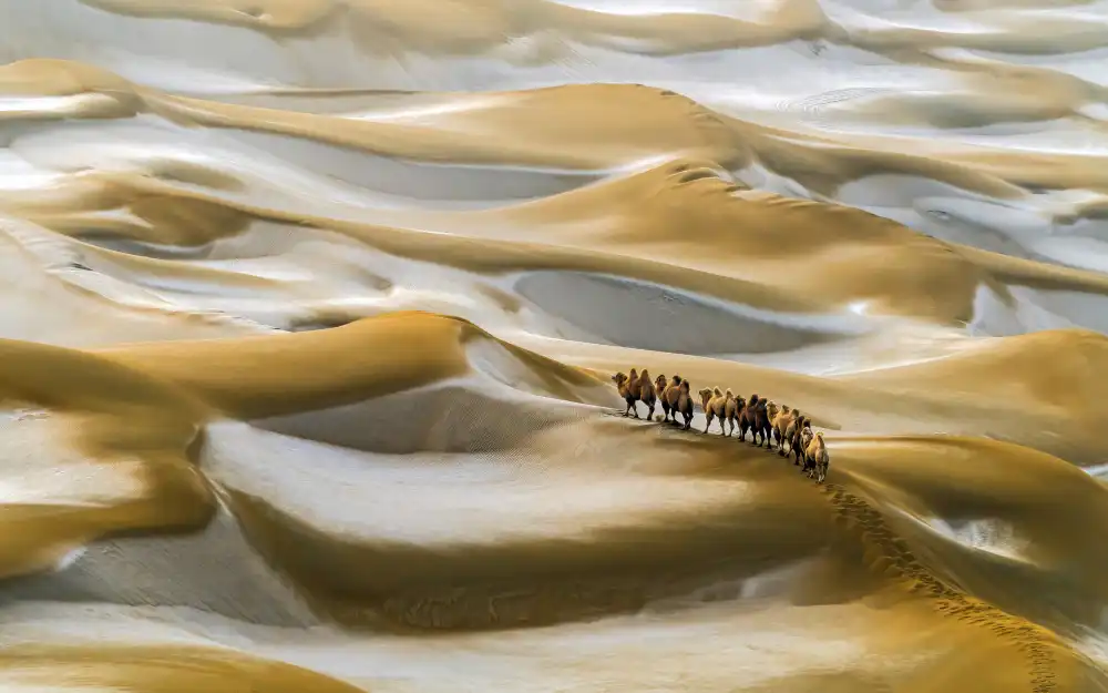 Zhu, Hua: Desert Winter