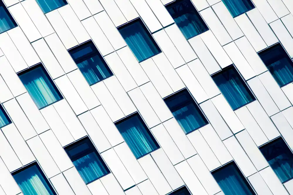 Swapnil: walls n windows