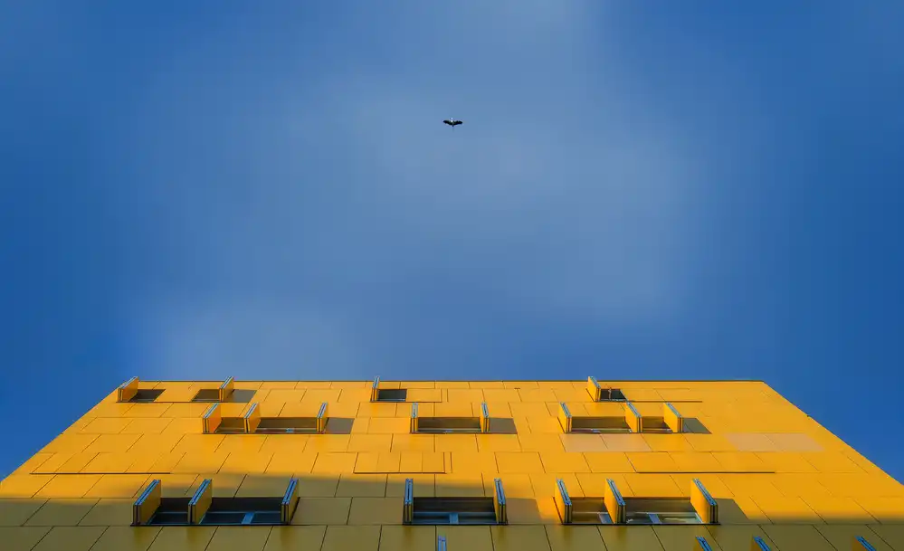 Osuna, Fran: In den Himmel gucken