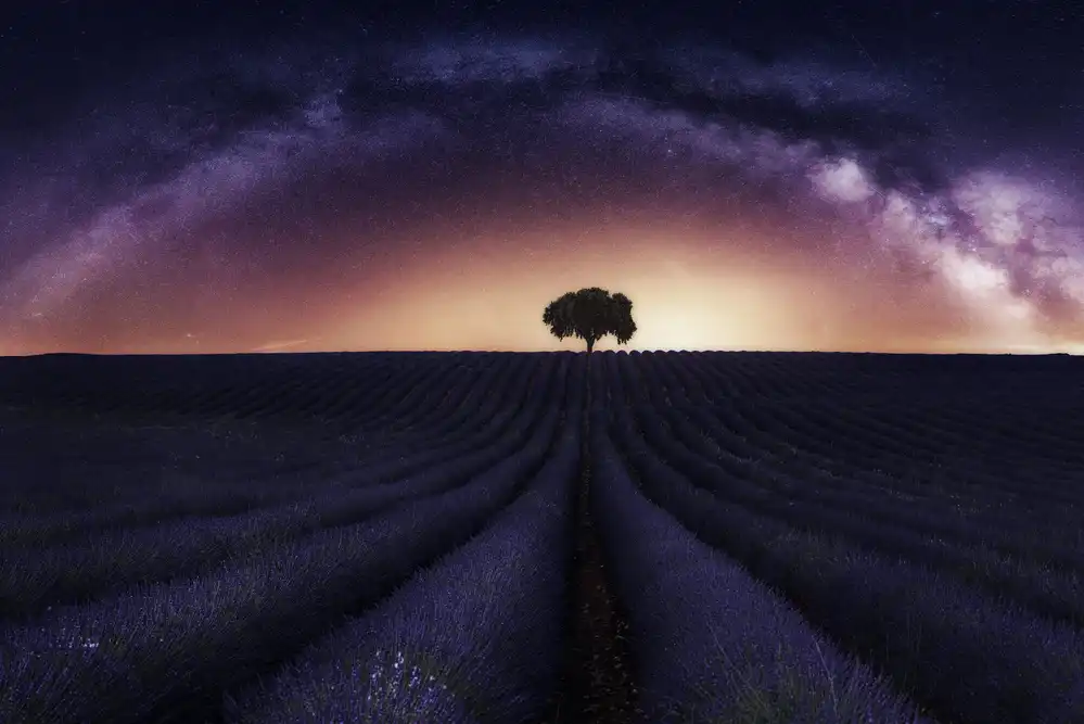Dueso, Ruiz Jorge: La mia lavanda