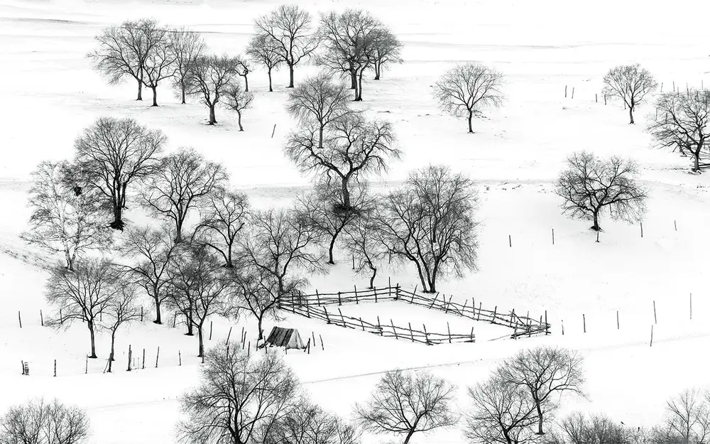 Zhu, Hua: Bashang Winter