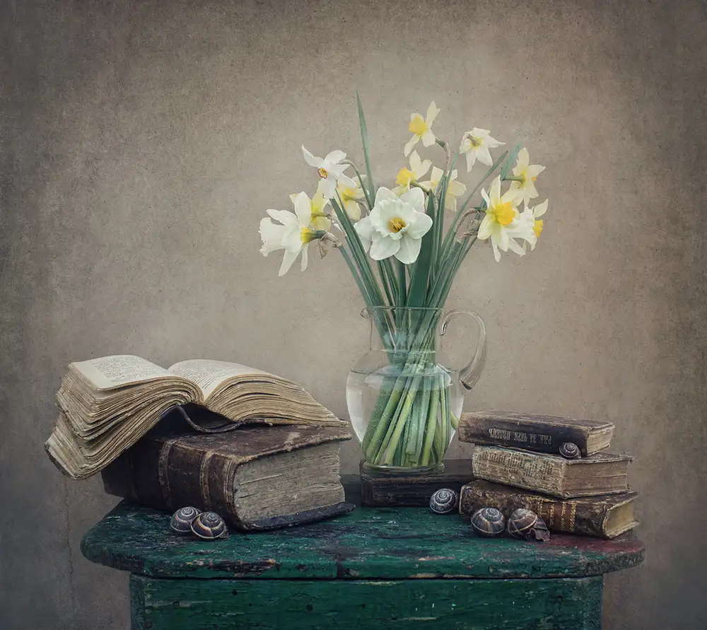 Dim, - Dimitar: Natura morta con narcisi,vecchi libri e lumache