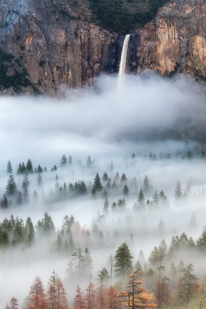 Yoshizawa, Brandon: Mlha Falls