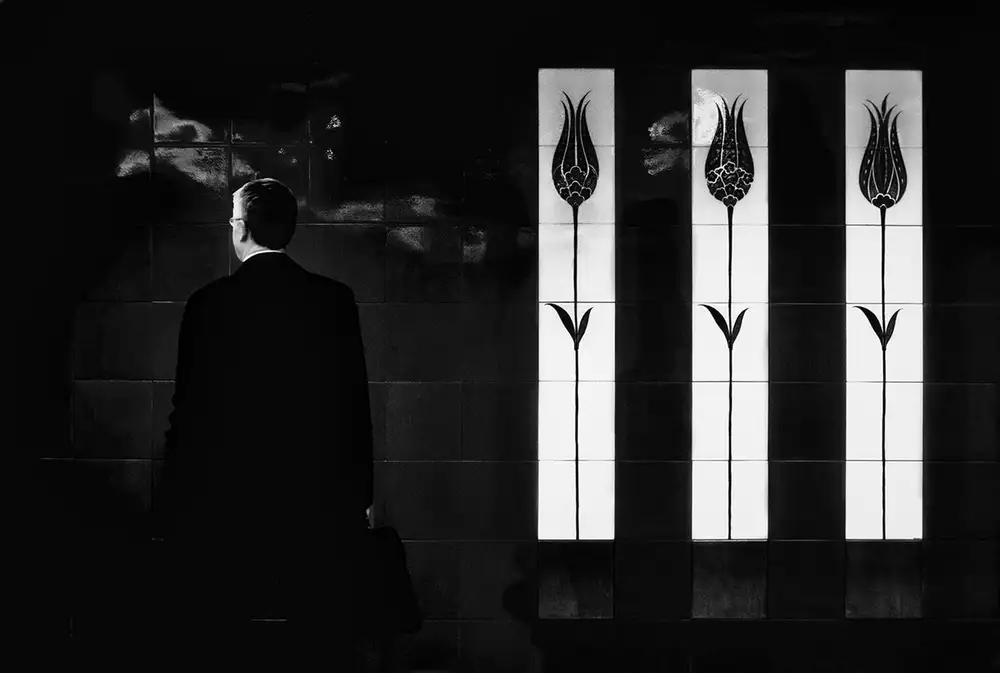 Bayram, Serdar: tulipán