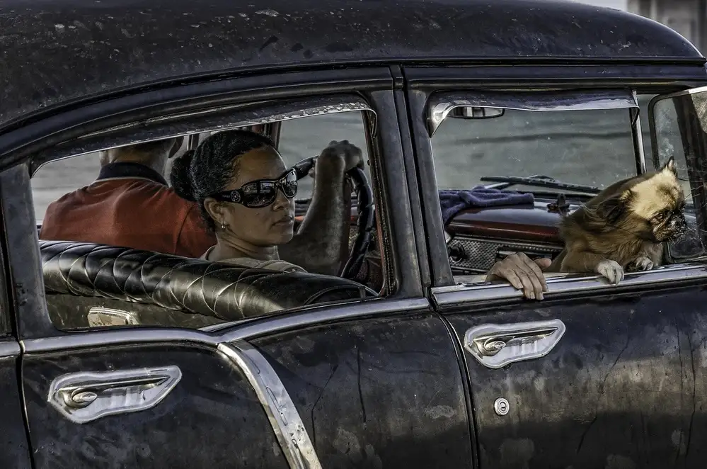 Bauer, Andreas: Malecon