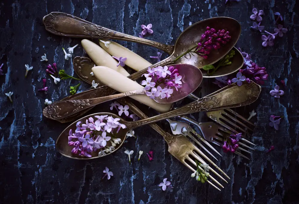 Karina, Aleksandrova: Spoons&Flowers