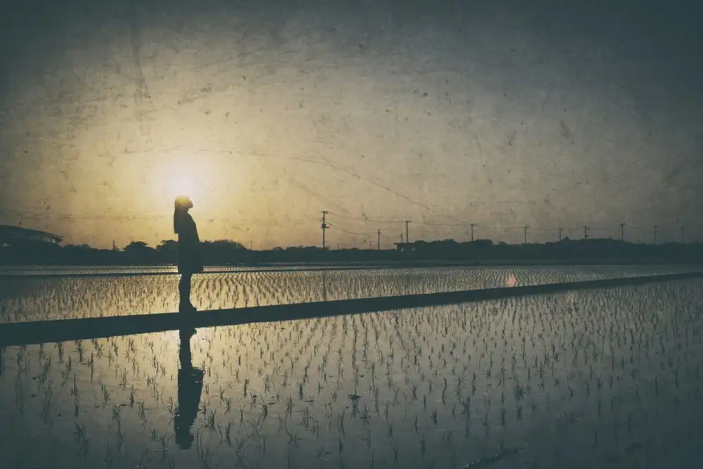 C/P, Flavor 7: Mi manca il tramonto.