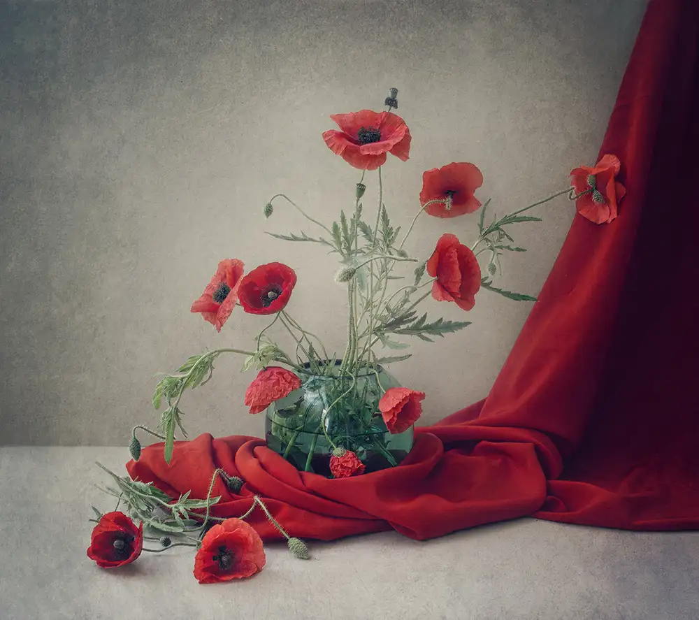 Dim, - Dimitar: Rosso