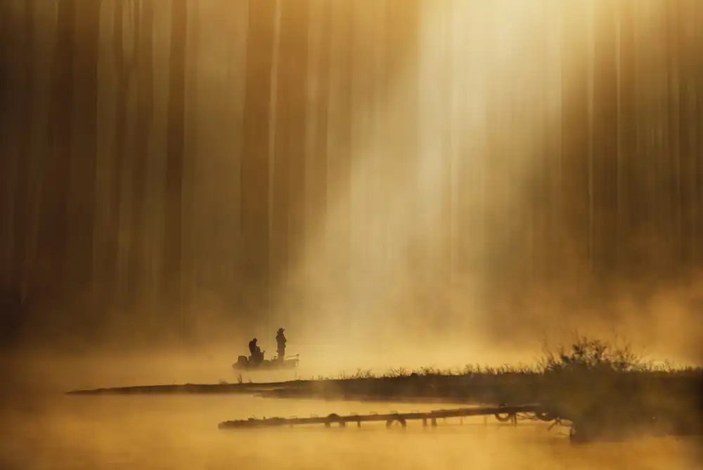 Suzuki, Takashi: Silence doré