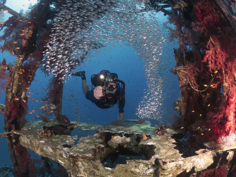 Tov, Ben Ilan: Diver and Pygmy Sweepers