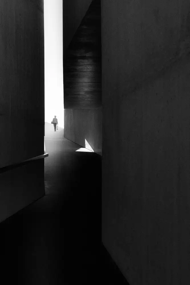 Azevedo, Olavo: CAMMINANDO VERSO LA LUCE