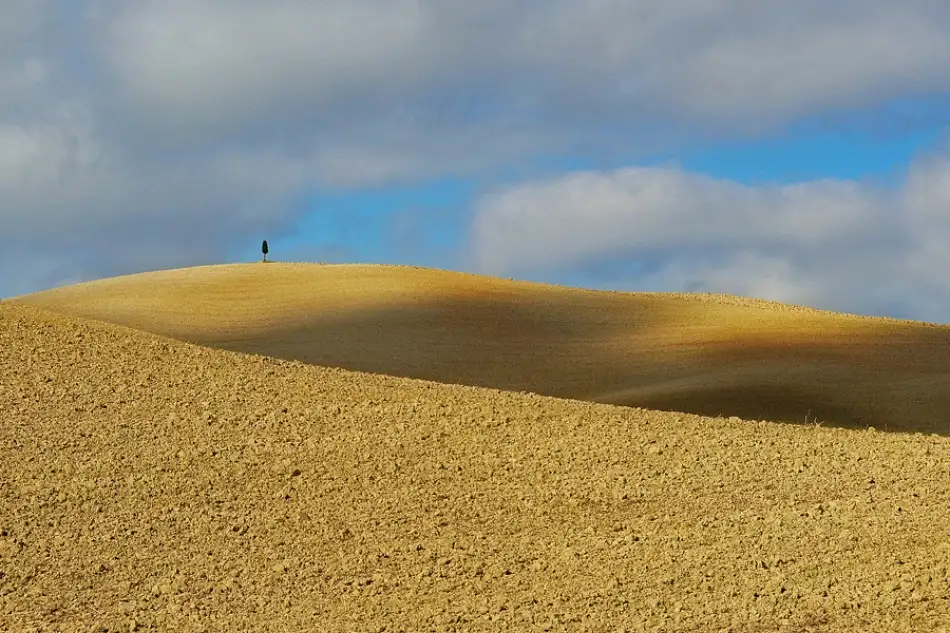 Kravanja, Jure: Faro