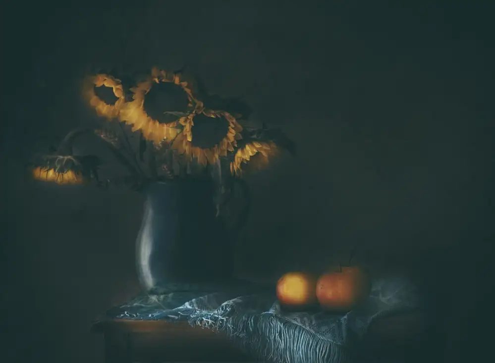Devos, Delphine: Ricorda i girasoli