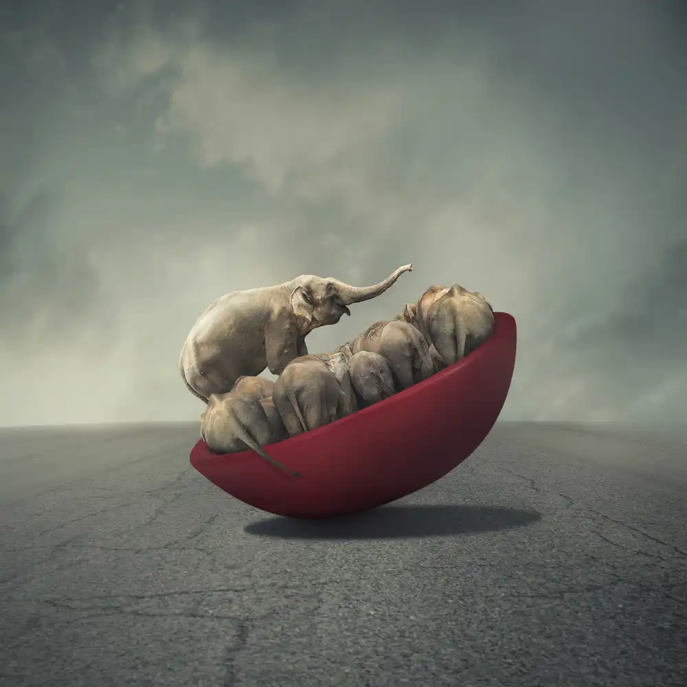 hardibudi: La vita è un equilibrio