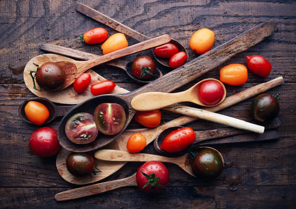 Karina, Aleksandrova: Spoons&tomatoes