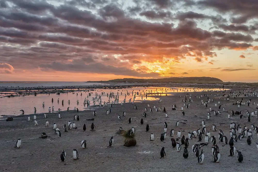 Raga, Gil Joan: Sonnenaufgang am Seelöwen