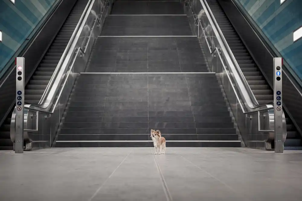 Willers, Heike: Minimalismo II.